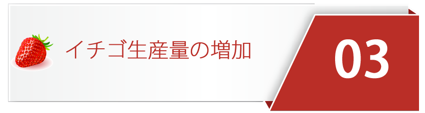 イチゴ生産量の増加